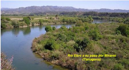 El latido de los ríos